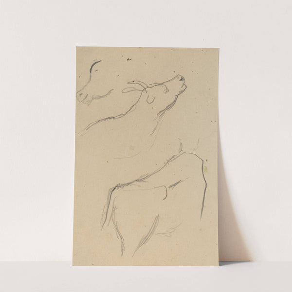 Studies of a Cow (verso) by Paul Gauguin