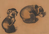 Studies of a dachshund (1885)
