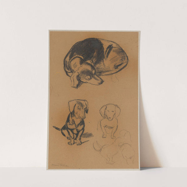 Studies of a dachshund (1885) by Hans Thoma