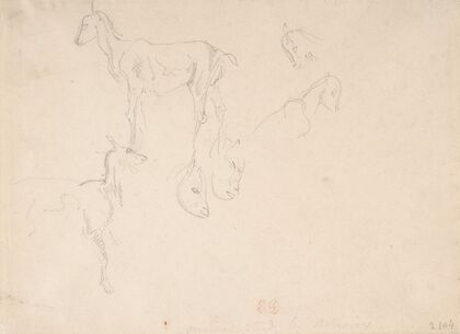 Studies of a Goat (1798–1863)