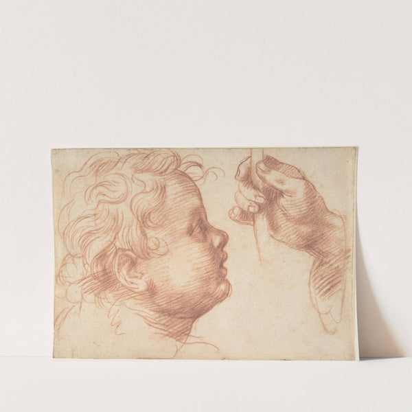 Studies of a Head and a Hand (1510) by Andrea del Sarto