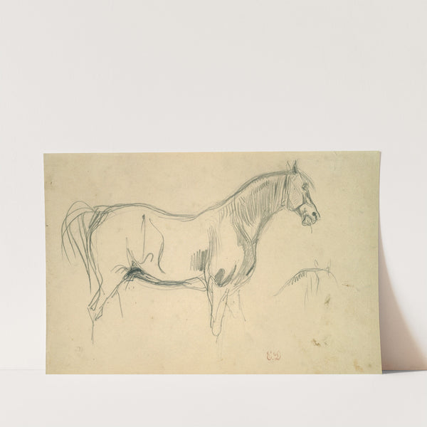 Studies of a Horse in Profile (1823–30) by Eugène Delacroix