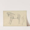 Studies of a Pony by William Strutt