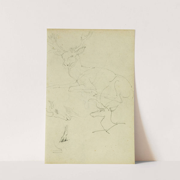 Studies of a seated stag, a fawn, a goat head by Théodore Géricault