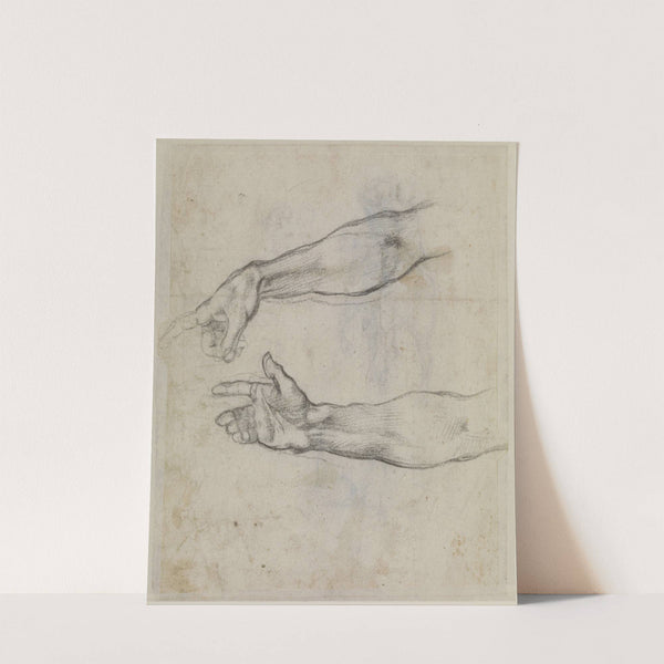 Studies of an outstretched arm for the fresco 'The Drunkenness of Noah' in the Sistine Chapel by Michelangelo