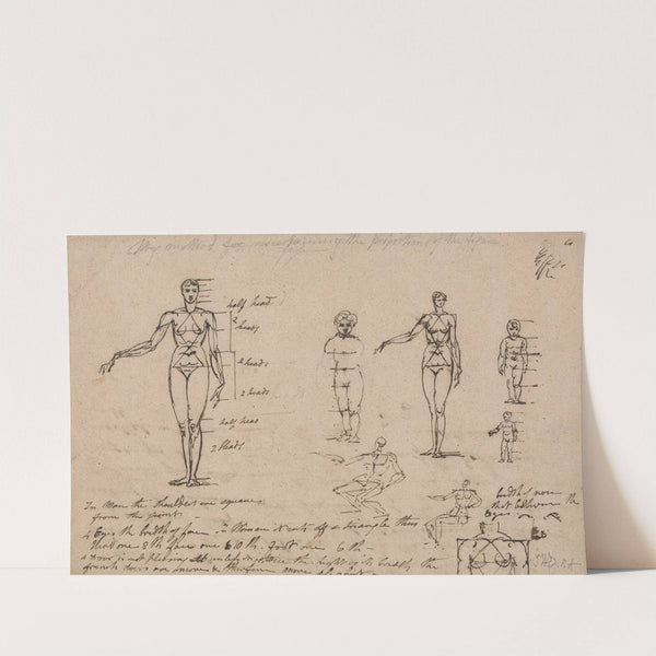 Studies of Anatomy, Measurements and Writing by James Ward