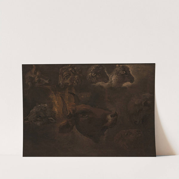 Studies of Animal Heads by Thomas Cole