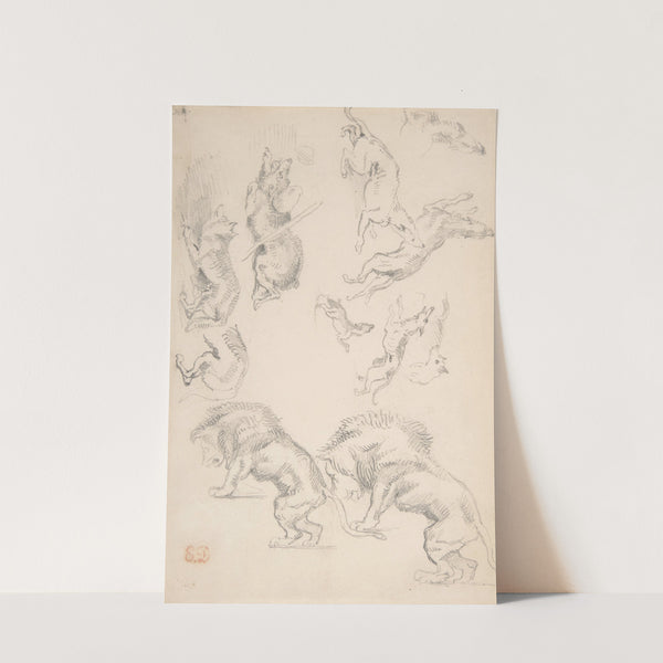 Studies of Animals (1810–63) by Eugène Delacroix