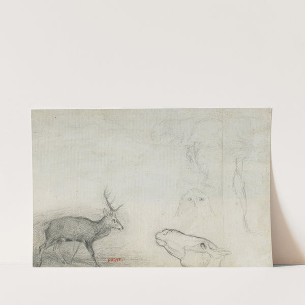 Studies of Animals (verso) by Antoine-Louis Barye