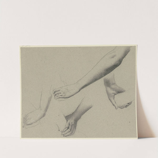 Studies of arms and hands by Wilhelm Gentz