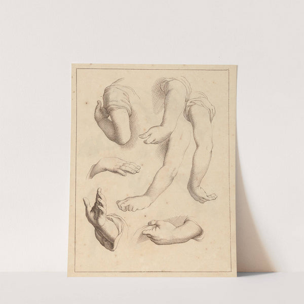 Studies of Arms and Hands by Hamlet Winstanley