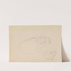 Studies of bears (between 1845 and 1852) by Adolph Tidemand