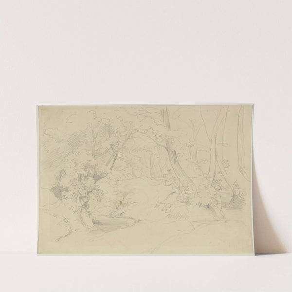 Studies of branches by Jakob Becker