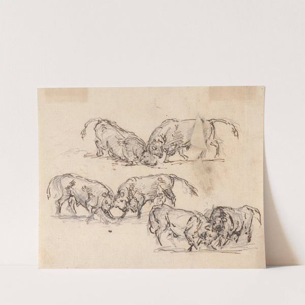 Studies of Bull Fighting by Sawrey Gilpin