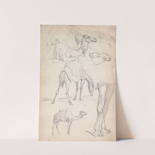 Studies of Camels by William Simpson
