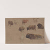 Studies of Cattle (mid-19th century) by Constant Troyon