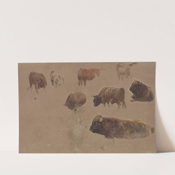 Studies of Cattle (mid-19th century) by Constant Troyon