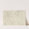Studies of deer (1860 - 1924) by Hans Thoma
