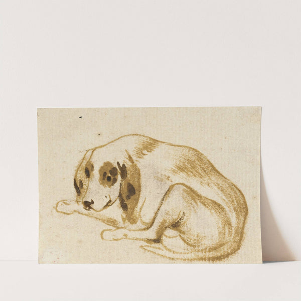 Studies of Dogs by Frans Snyders