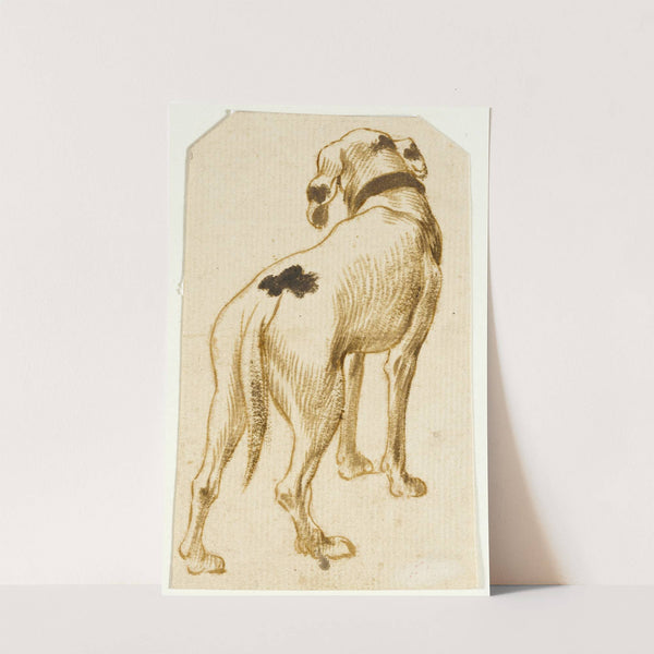 Studies of Dogs by Frans Snyders