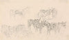 Studies of Donkeys