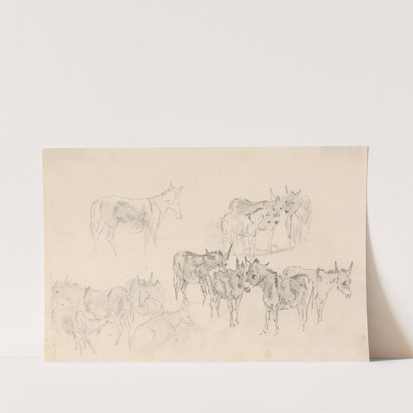 Studies of Donkeys by Sawrey Gilpin