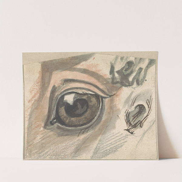 Studies of facial features of a horse by Sawrey Gilpin