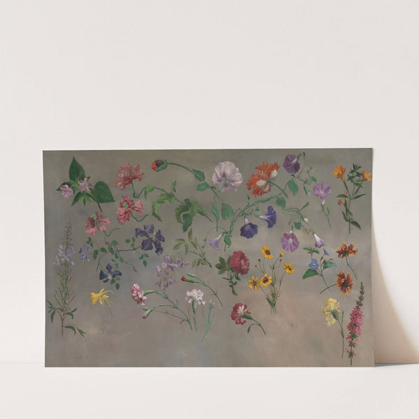 Studies of Flowers by Jacques-Laurent Agasse