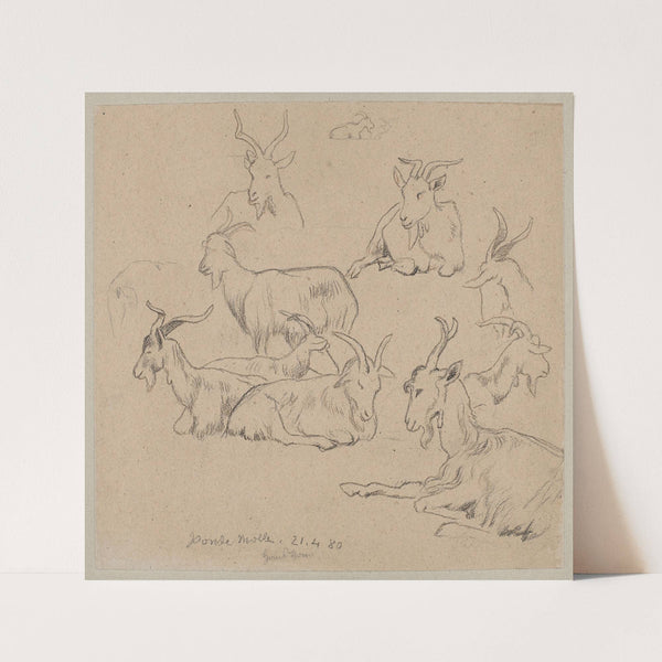 Studies of Goats (1880) by Hans Thoma