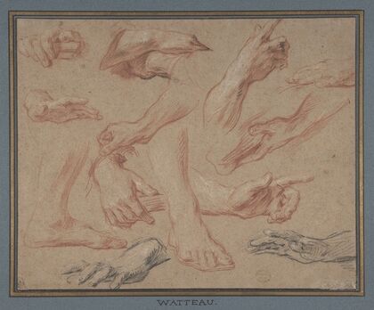 Studies of Hands and Feet