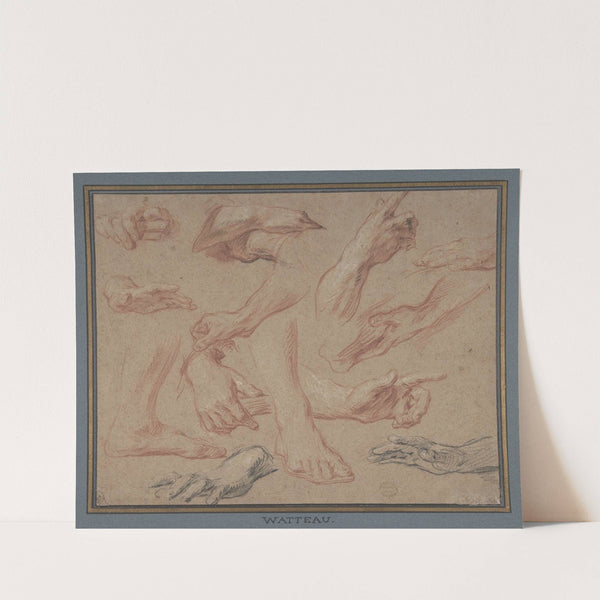 Studies of Hands and Feet (early 18th century) by François Lemoyne