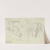 Studies of horses by August Lucas