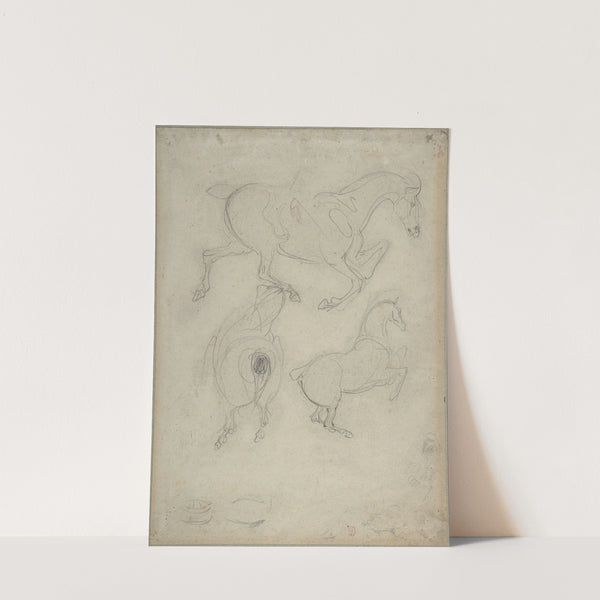 Studies of Horses by Eugène Delacroix