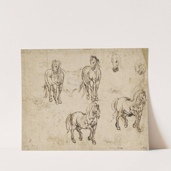 Studies of Horses (recto) (c. 1612) by Jacques Callot