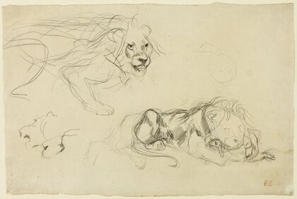 Studies of Lions (c. 1829)
