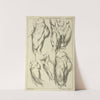 Studies of male loins by Peter Paul Rubens