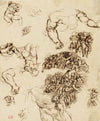 Studies of nude figures, after Michelangelo