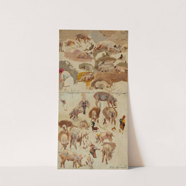 Studies of pigs by Maria Klass-Kazanowska