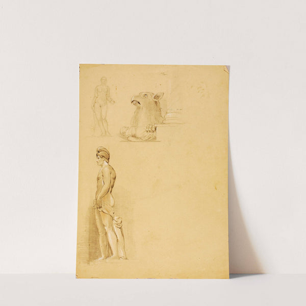 Studies of Sculante by Miner Kilbourne Kellogg