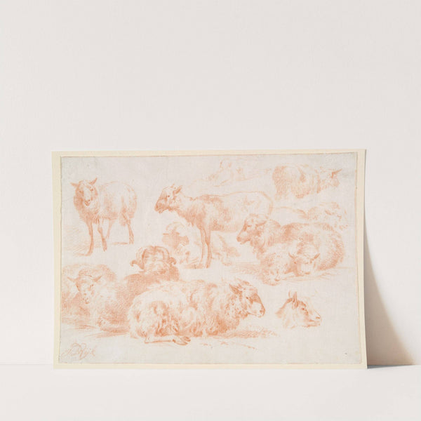 Studies of Sheep by Jan Ryks