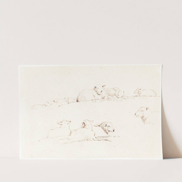 Studies of Sheep in Pasture by George Richmond