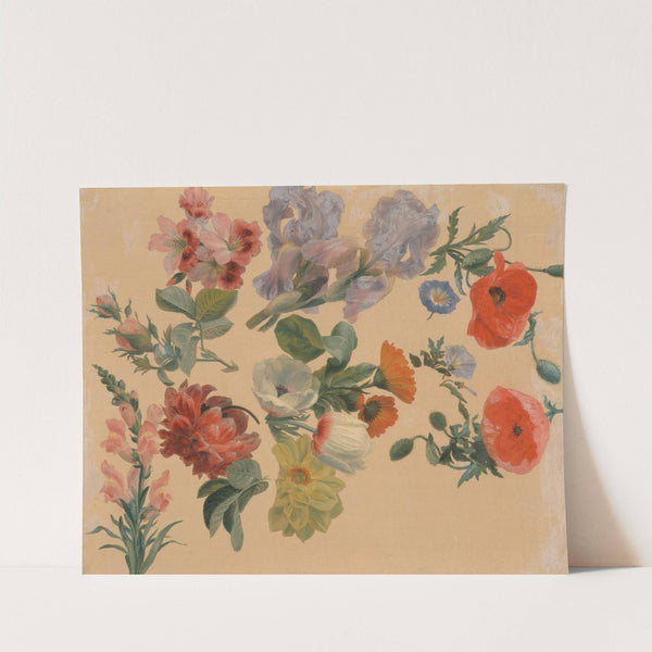 Studies of Summer Flowers by Jacques-Laurent Agasse