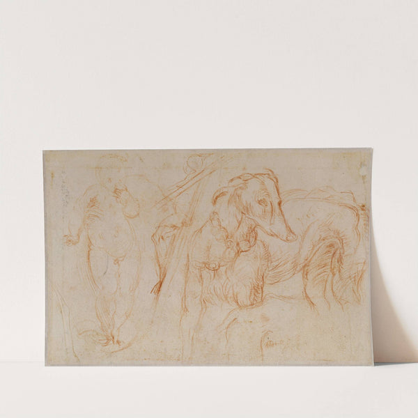 Studies of the Christ Child, a Crucifix, and a Dog by Parmigianino