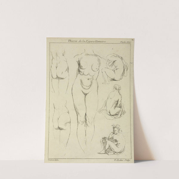 Studies of the female torso, buttocks, and seated figures, dorsal view by Peter Paul Rubens