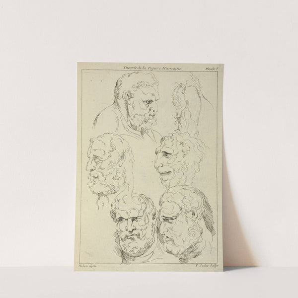 Studies of the head of a bearded man, and the head of a creature by Peter Paul Rubens