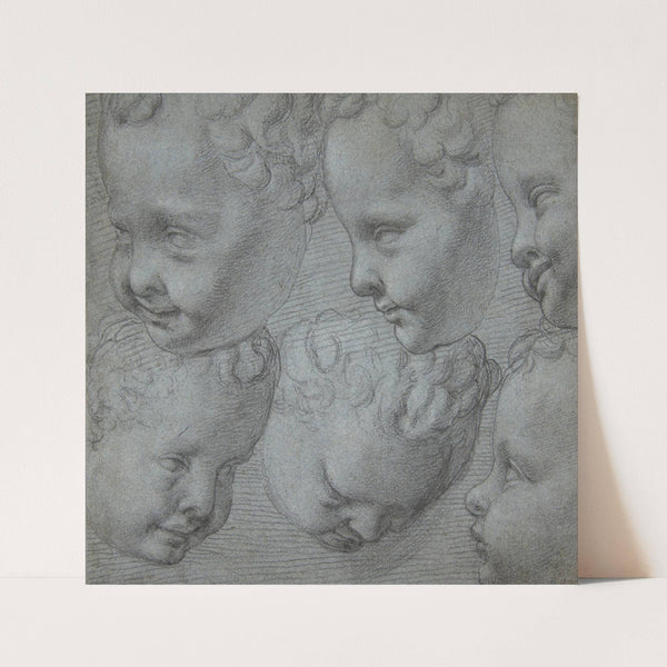 Studies of the Head of an Infant (after a three-dimensional model) by Poppi (Francesco Morandini)