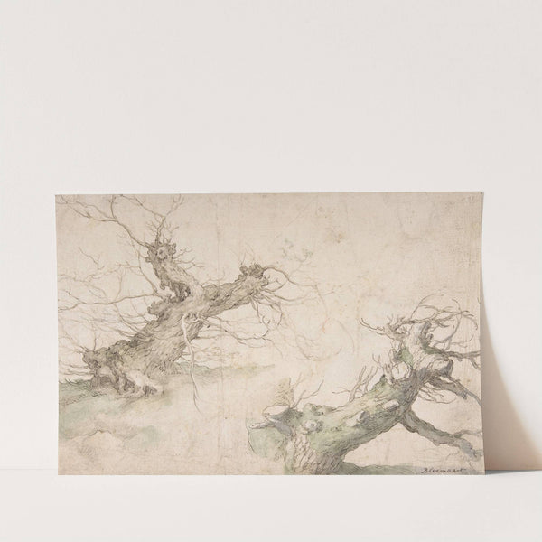 Studies of Two Pollard Willows by Abraham Bloemaert