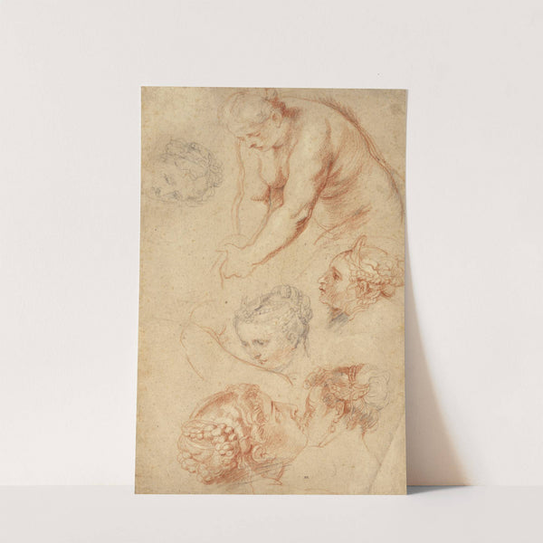 Studies of Women by Peter Paul Rubens