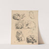 Studies van een hondje (1870 - 1931) by Willem Bastiaan Tholen