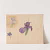 Studies van een iris en ridderspoor by Willem van Konijnenburg